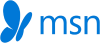 MSM Logo